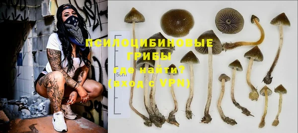 прущий лед Алексеевка